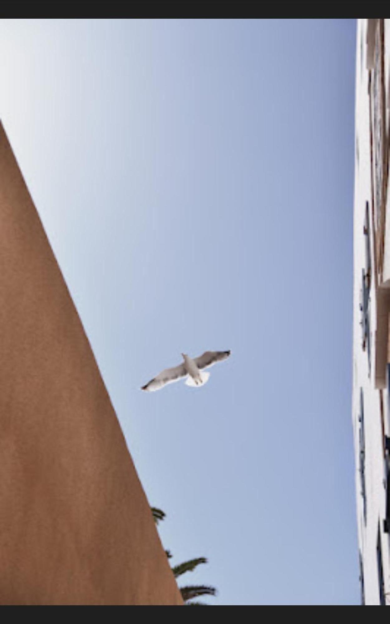 Loft Incroyable En Medina Leilighet Essaouira Eksteriør bilde